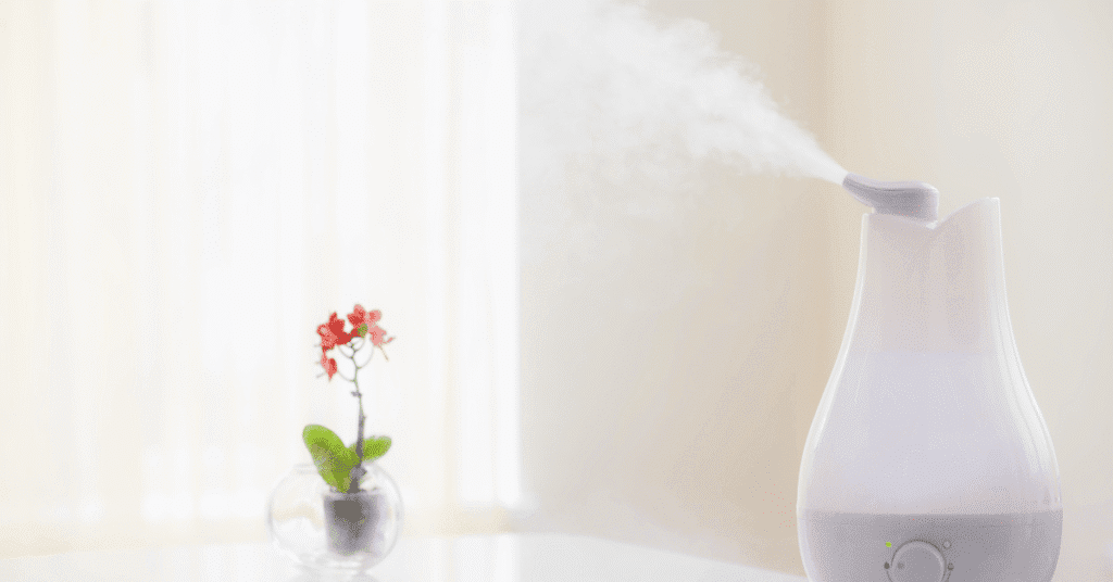 Can You Use Tap Water in a Humidifier