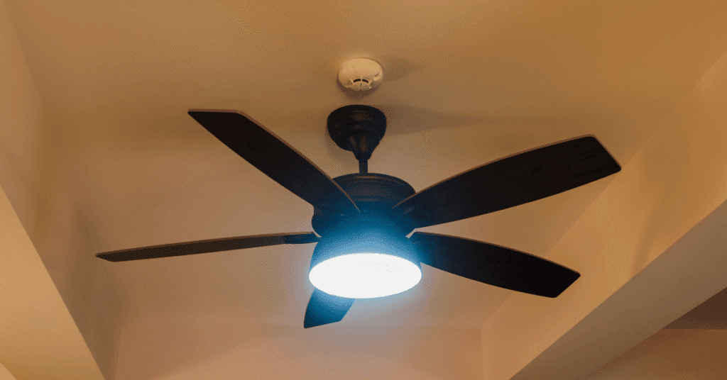 Which Way Should a Ceiling Fan Turn