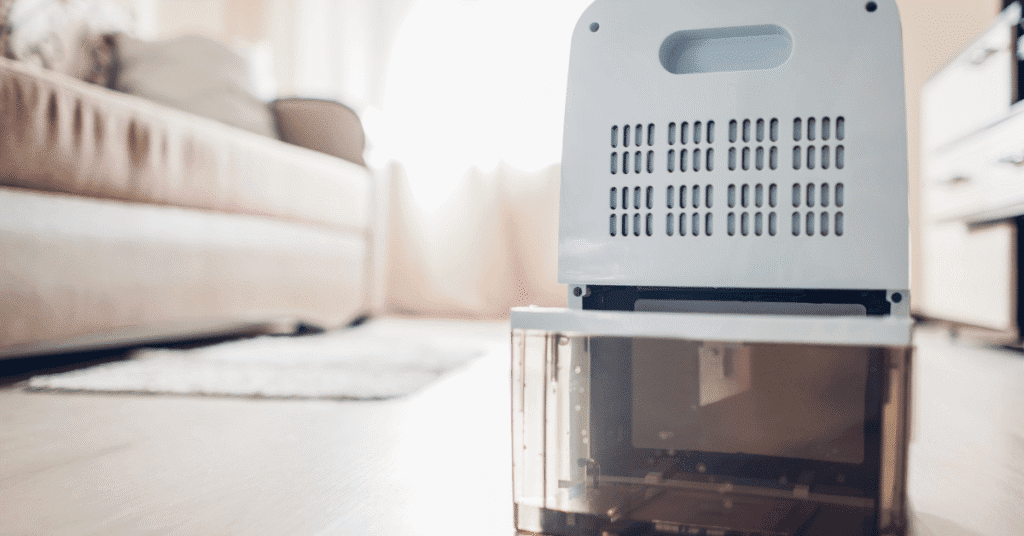 When to Use a Dehumidifier