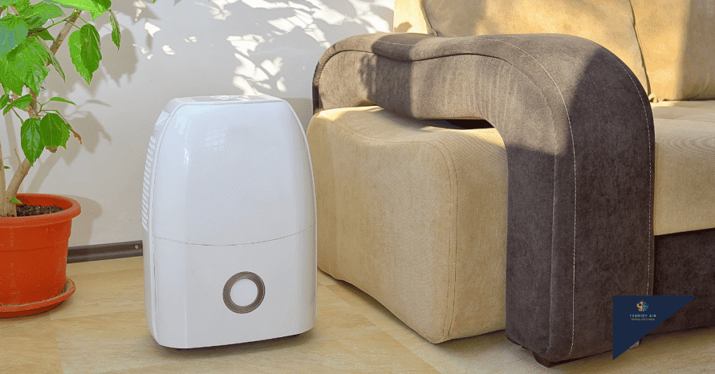 When to Use a Dehumidifier