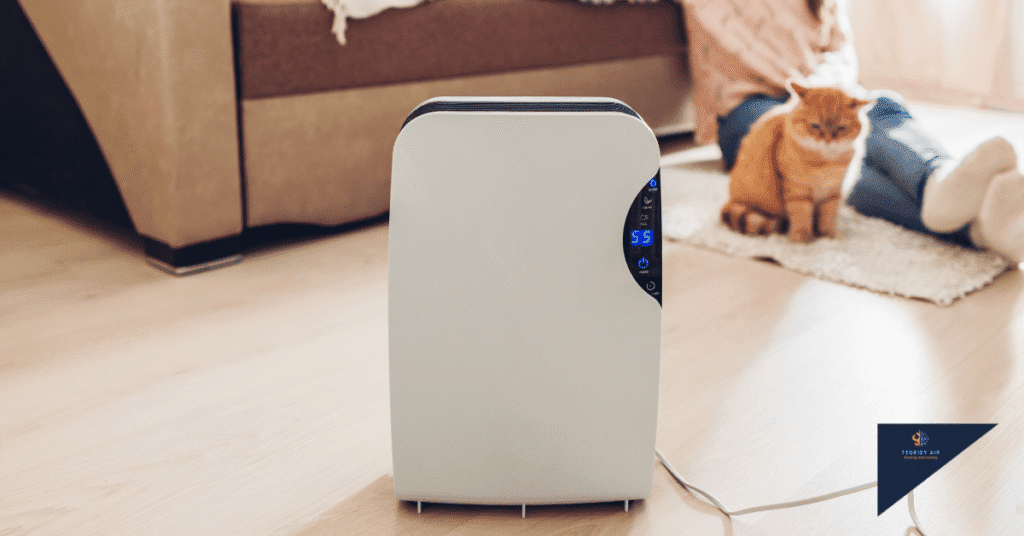 Dehumidifier